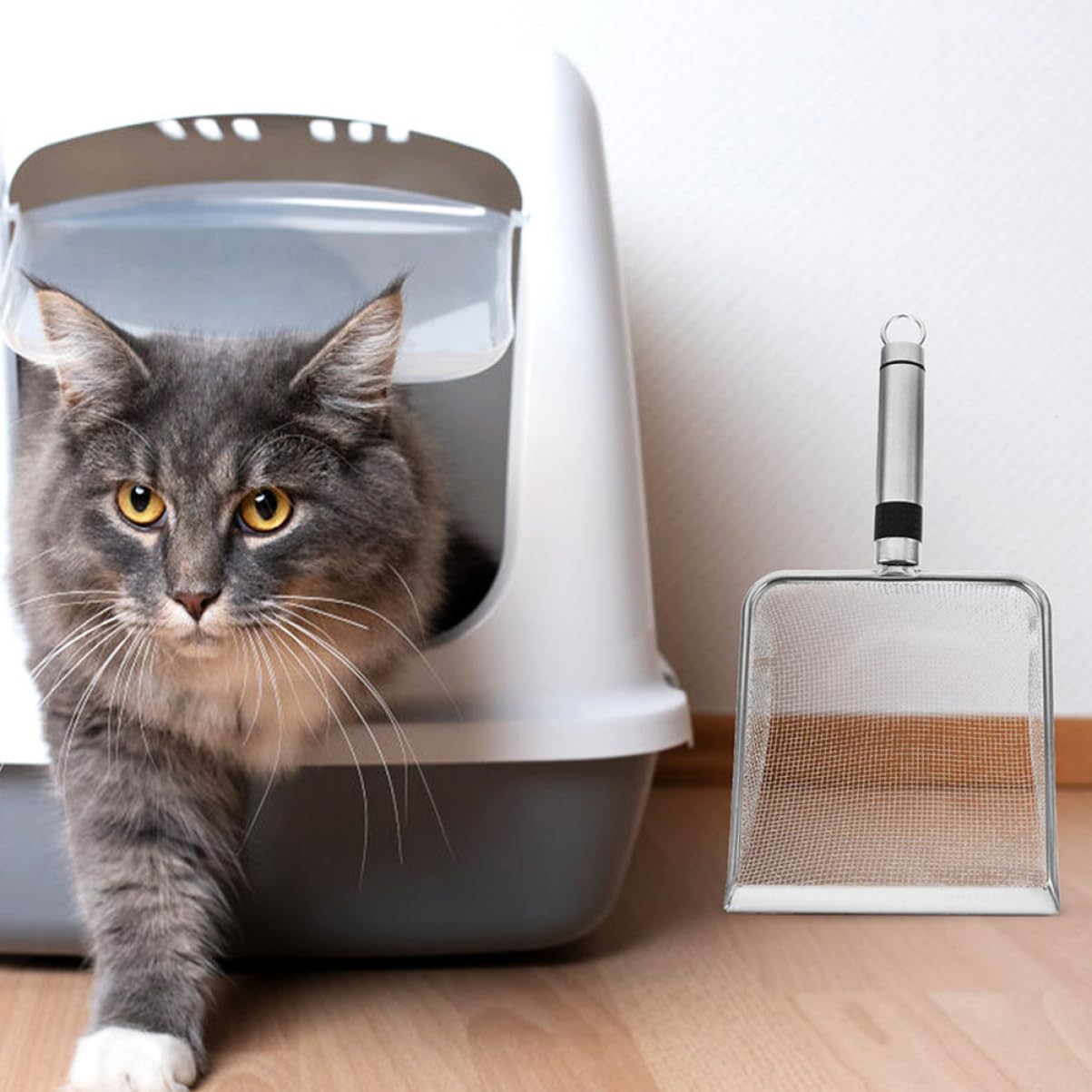 Milisten 5stücke Edelstahl Katzenstreuschaufel Robuste Katzenschaufel Mit Ergonomischem Griff Für Effizientes Reinigen Von Katzentoiletten Und Tierkäfigen Langlebig Und Vielseitig