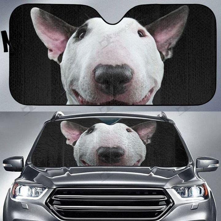 Pare-soleil avant de voiture pour éviter le volant brûlant et protéger votre chien
