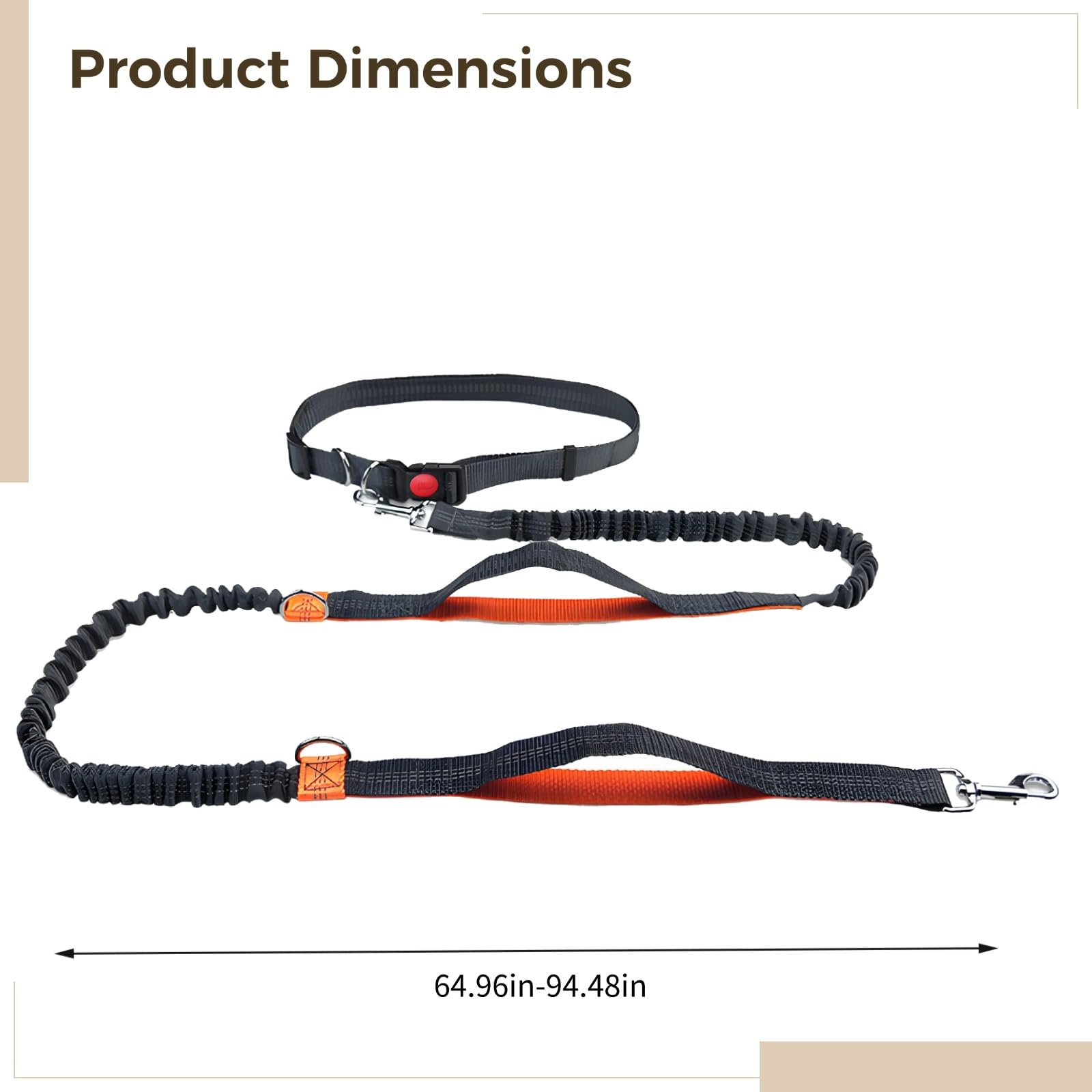 Laisse Bungee pour Chien Mains Libres, Laisse réfléchissante pour Petit Chien pour Courir, Ceinture réglable pour Humain, 5,4 à 7,9 ft