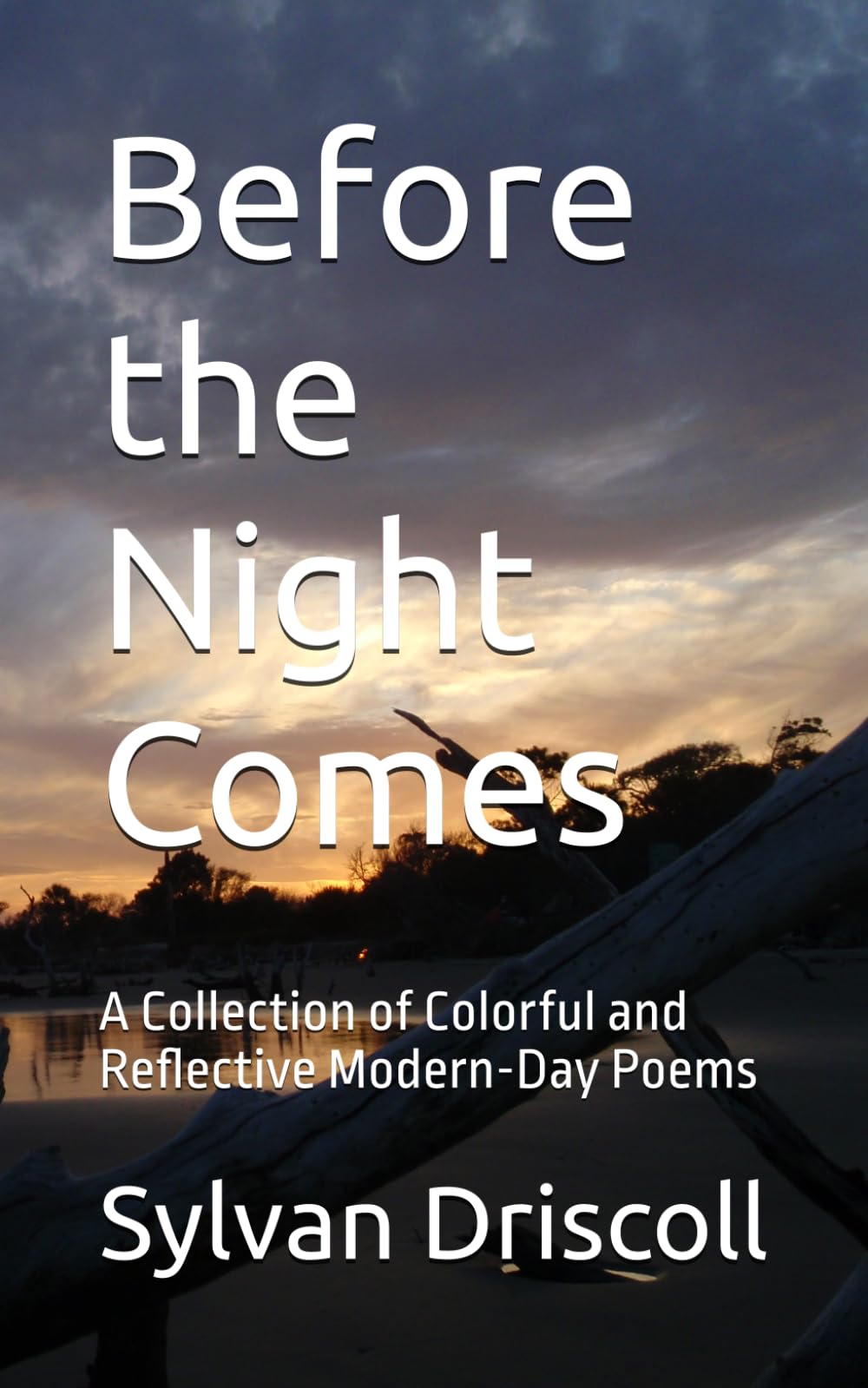 Before the Night Comes: A Collection of Colorful and Reflective Modern-Day Poems