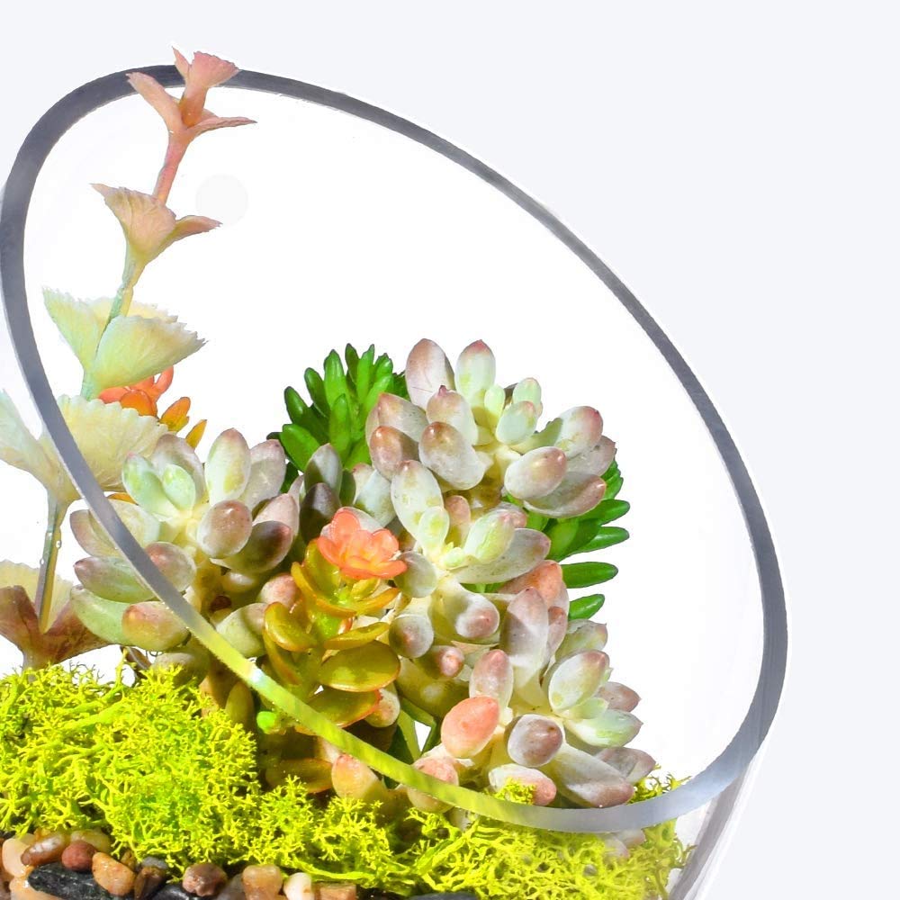 Zestaw do akwarium Przezroczysta, ukośna miska z bąbelkami, miska dla ryb i terrarium z roślinami, okrągła doniczka (7" x 5,5")