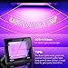 Roleadro Black Light 2 Pack UV Flood Light, 100W Led Black Lights Indoor Outdoor IP66 Waterproof Stage Light for Glow Party, Halloween Black Lights Glow in Dark Party Supplier