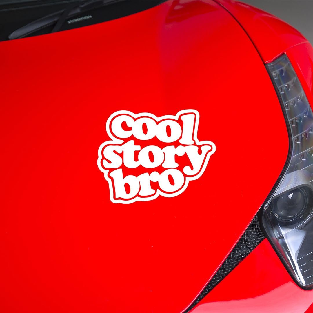 KREEPO COOL STORY BRO Decal Vinyl Sticker for Car Van all Vehicle Surface Waterproof Self-Adhesive 2pcs (3.9x5in) White