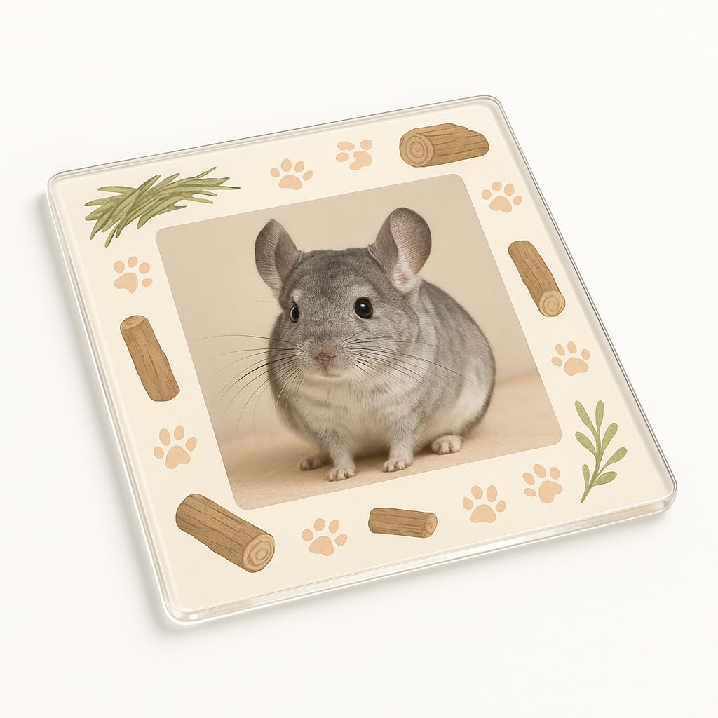 The Plum Penguin Chinchilla Acrylic Coaster Gift With Playful Grove Design - Whimsical Pet Lover Decor For Home Or Office Delight