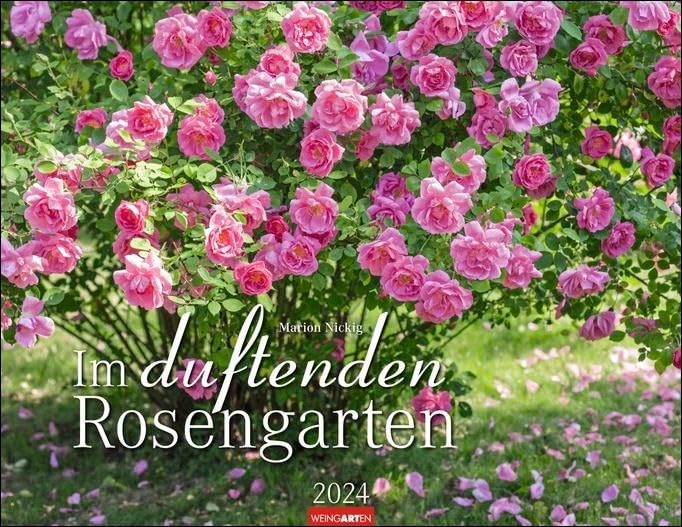 Im duftenden Rosengarten Kalender 2024. Wandkalender mit 12 Fotos romantischer Rosen-Gärten. Farbenprächtiger Kalender mit Rosen-Duft. Fotokalender für die Wand 44x34 cm