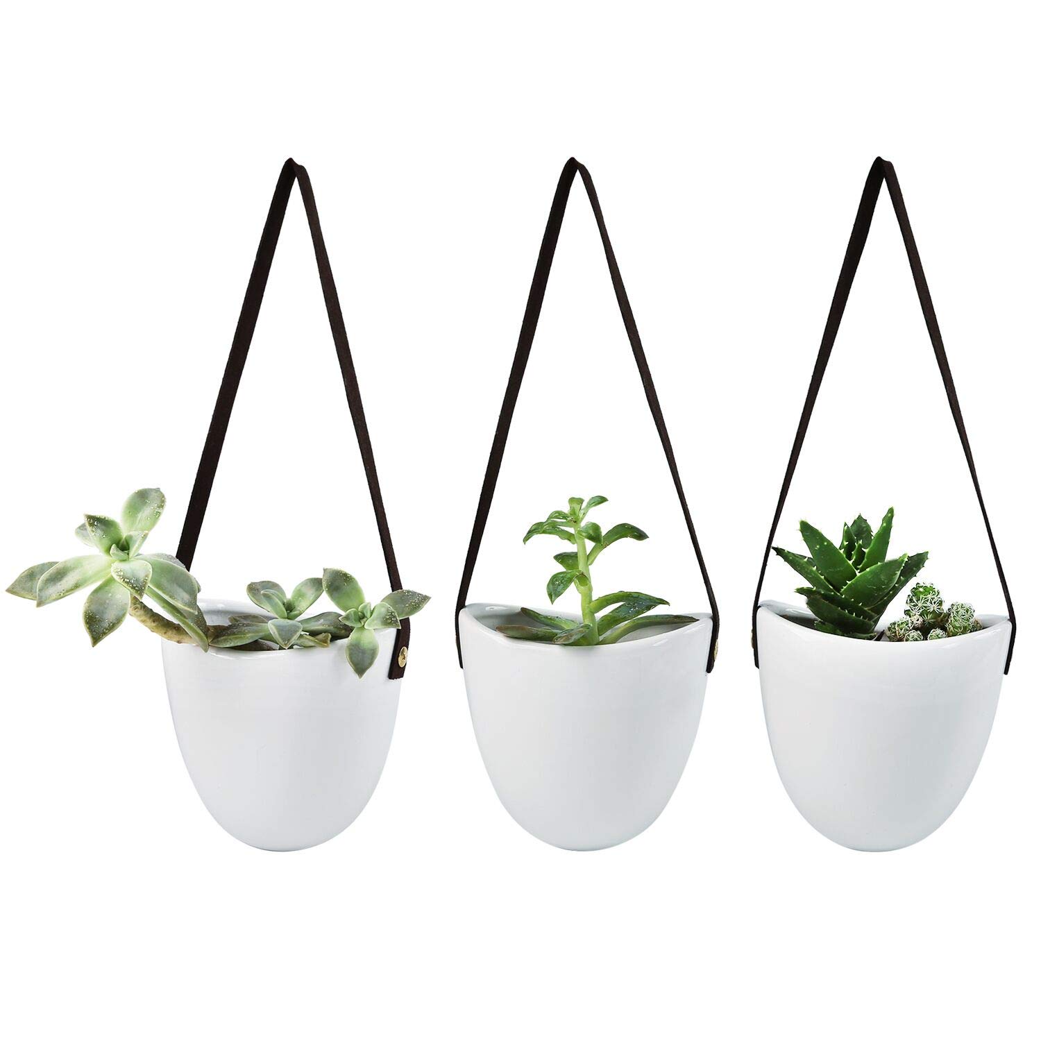 Pots De Fleurs Muraux -Ellie- Pots De Fleurs Suspendus En Céramique 3 Pièces Décoration Murale Pour Intérieur, Balcon Et Jardin Blanc (Brillant) NPTERBL