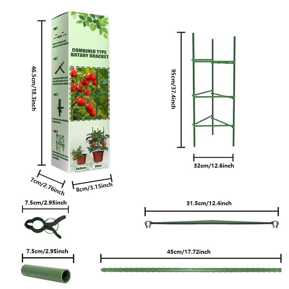 Tuinplant