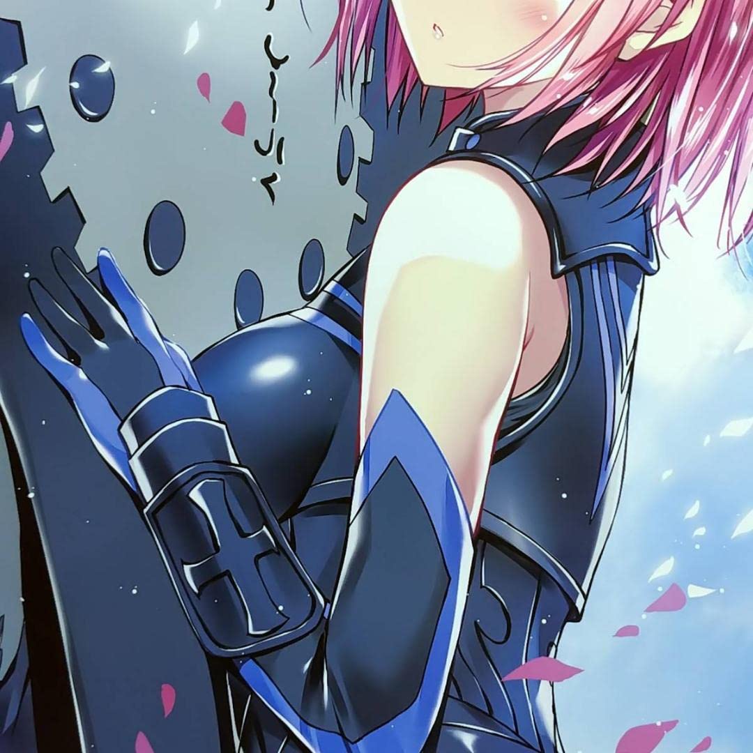 Amazon.co.jp: 特大 A1 タペストリー FGO マシュ 小林ちさと 