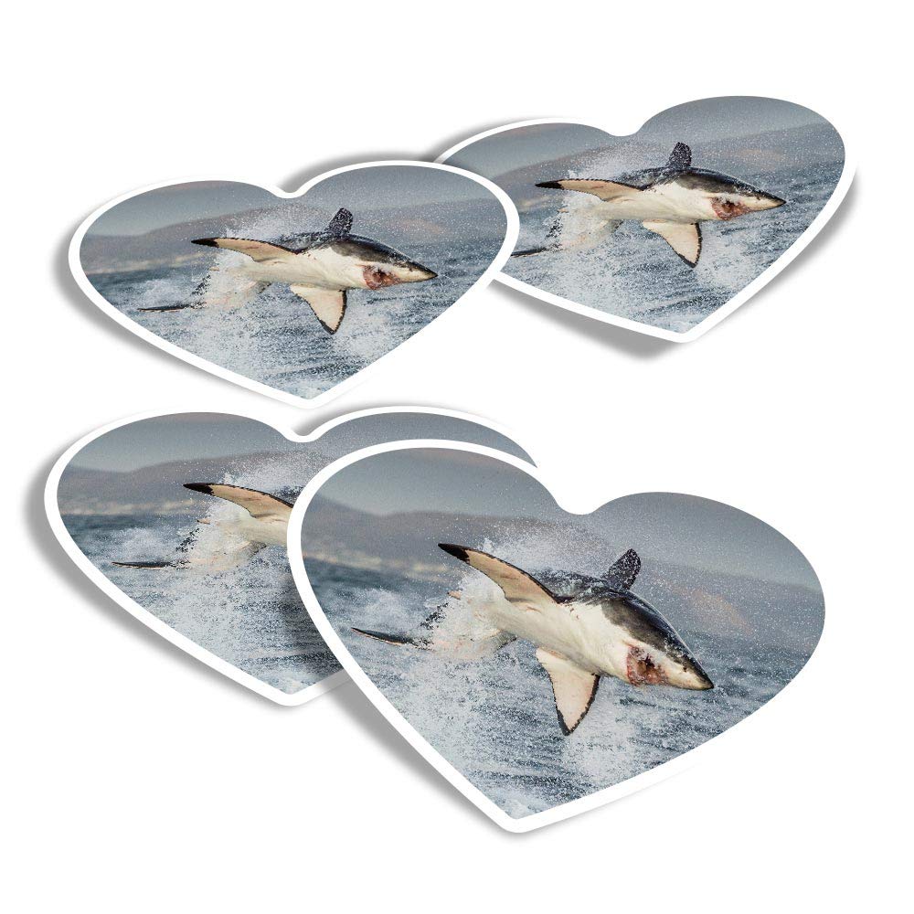 Vinyl Heart Stickers (Set of 4) - Great White Shark Hunting Breach Fun Decals for Laptops,Tablets,Luggage,Scrap Booking,Fridges #21644