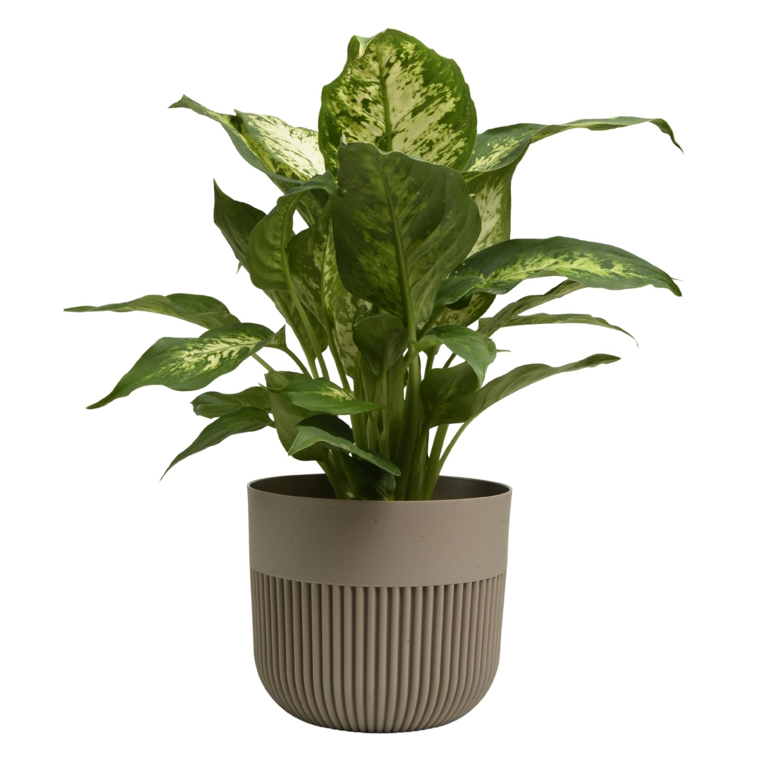 Matt Ribbed Flower Pot – Modern Plastic Planter for Indoor & Outdoor Plants, Herbs & Succulents – Lightweight, Durable, Easy-Clean Design – Multiple Sizes & Colours (Beige, 15cm)