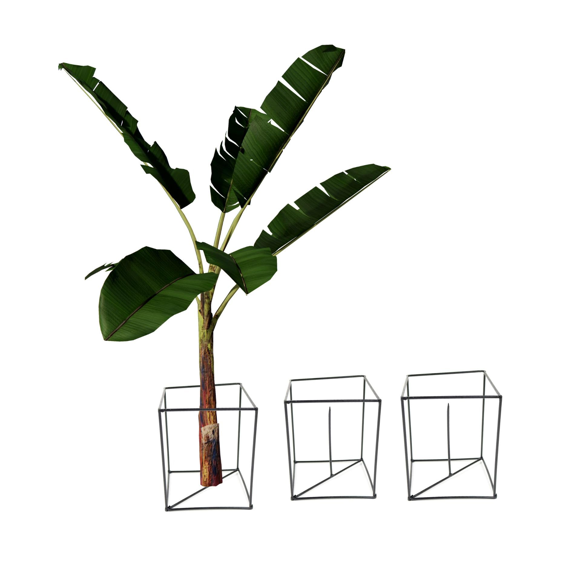 NAYRA Metal Black Color Square Shape Banana Plant Stand for indoor and Outdoor Sleek and Modern Design(Set of 3 Stand) (B0CQVWRQGW) Amazon Price History, Amazon Price Tracker