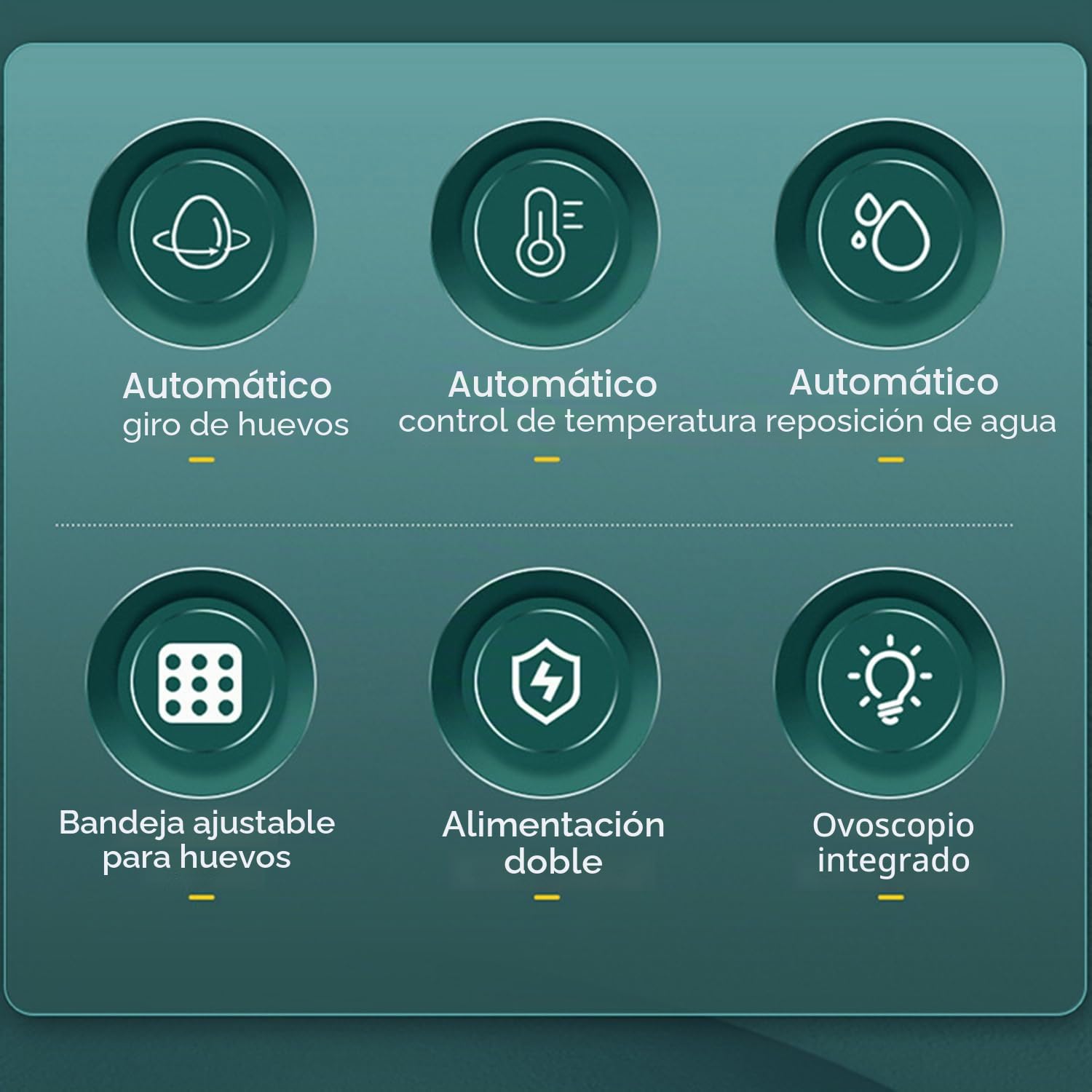 Incubadora Huevos Gallina,Incubadora De 24-36 Huevos Con Volteo Automático De Huevos y Humidificación Automática,Indicador De Humedad y Temperatura,Para Pollos,Codornices,Patos y Gansos