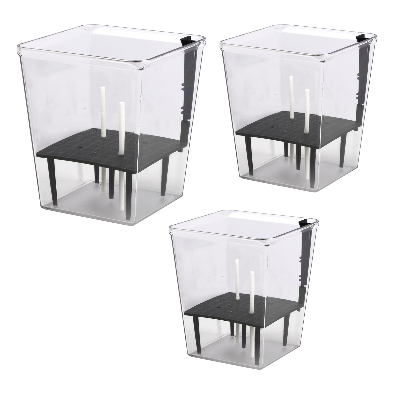 3 Pieza Macetas de Riego Automático, Maceta Orquidea Transparente, Modernas Macetas Transparentes, para Orquídeas Con Agujeros de Drenaje para Balcón Interior y Exterior Orquídeas Rosa Aloe Tulipanes