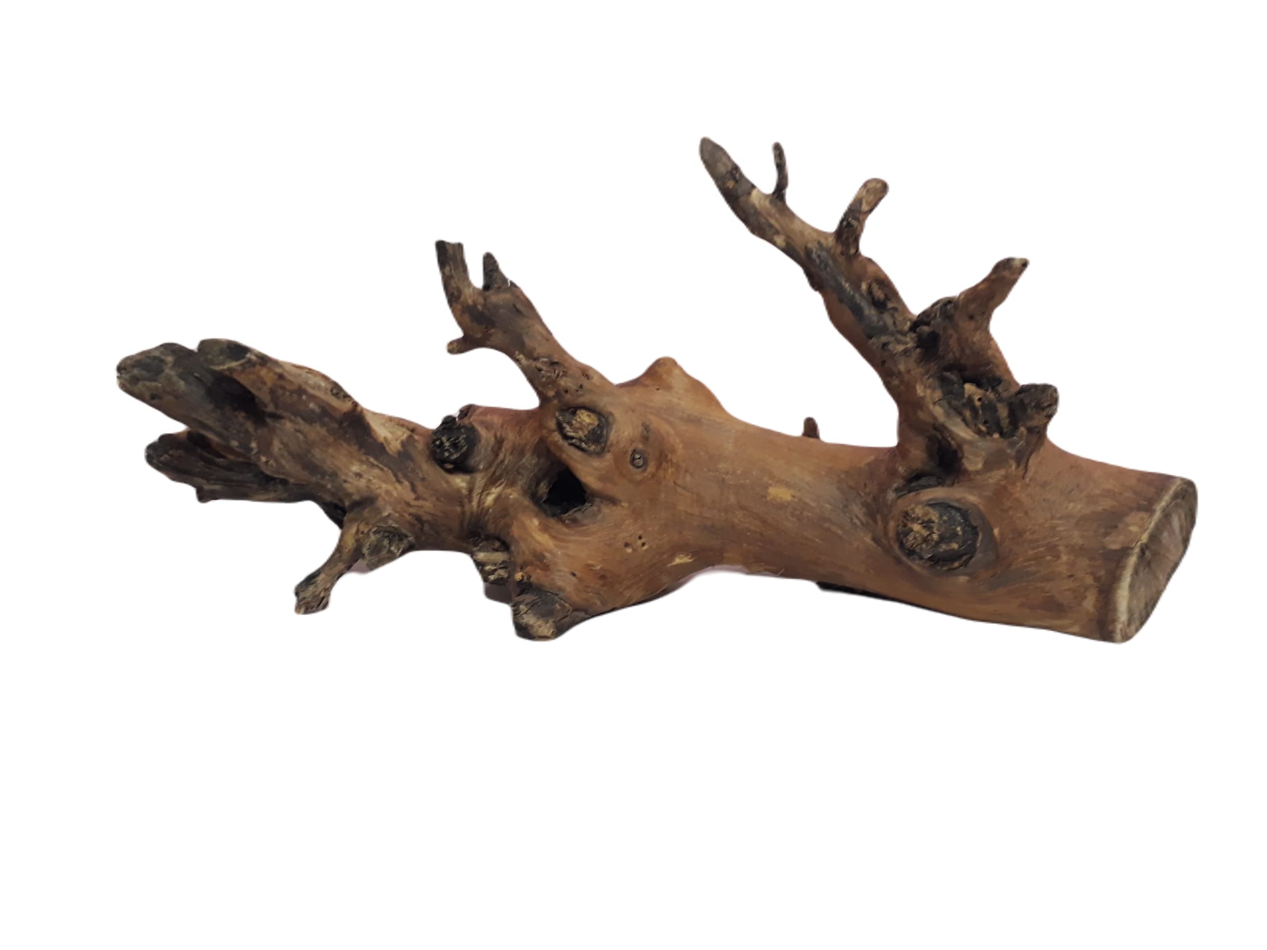 DKS STORES Driftwood for Aquarium Original Teak Wood, 43 CM Long and 2 KG Weight(Random Shape)