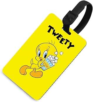 61gE-4PH83L._AC_UF350,