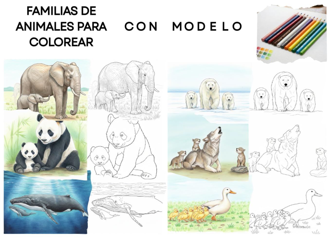 Familias de animales: Animales adultos con sus crías para colorear – Un libro realista para compartir en familia. Con modelo para colorear con lápices de colores.