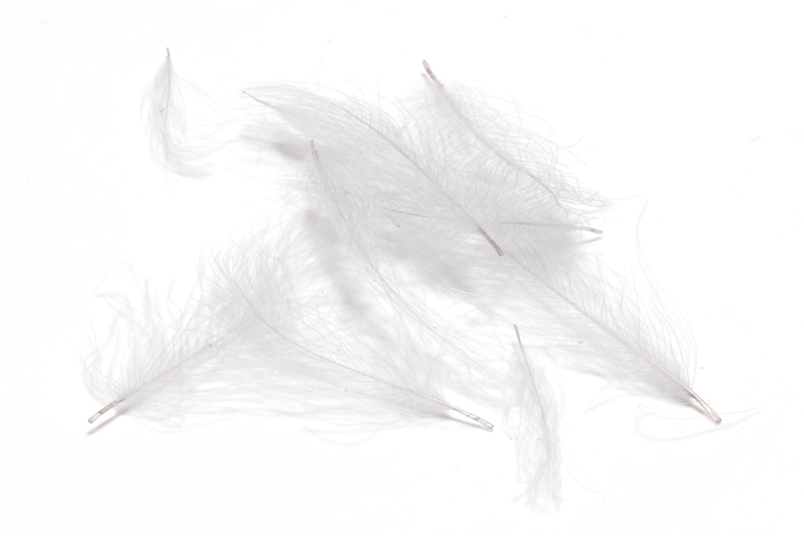 Hareline Fly Tying Cul de Canard (CDC) – Natural CDC Feathers for Fly Tying Dry Flies, Emergers & Comparaduns (Light Dun)