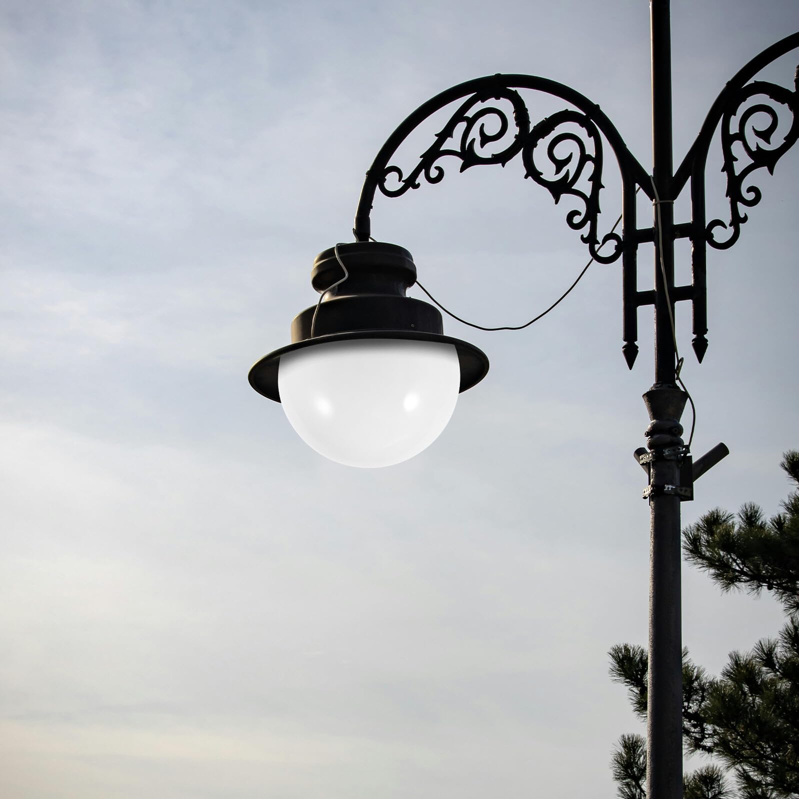 View 6