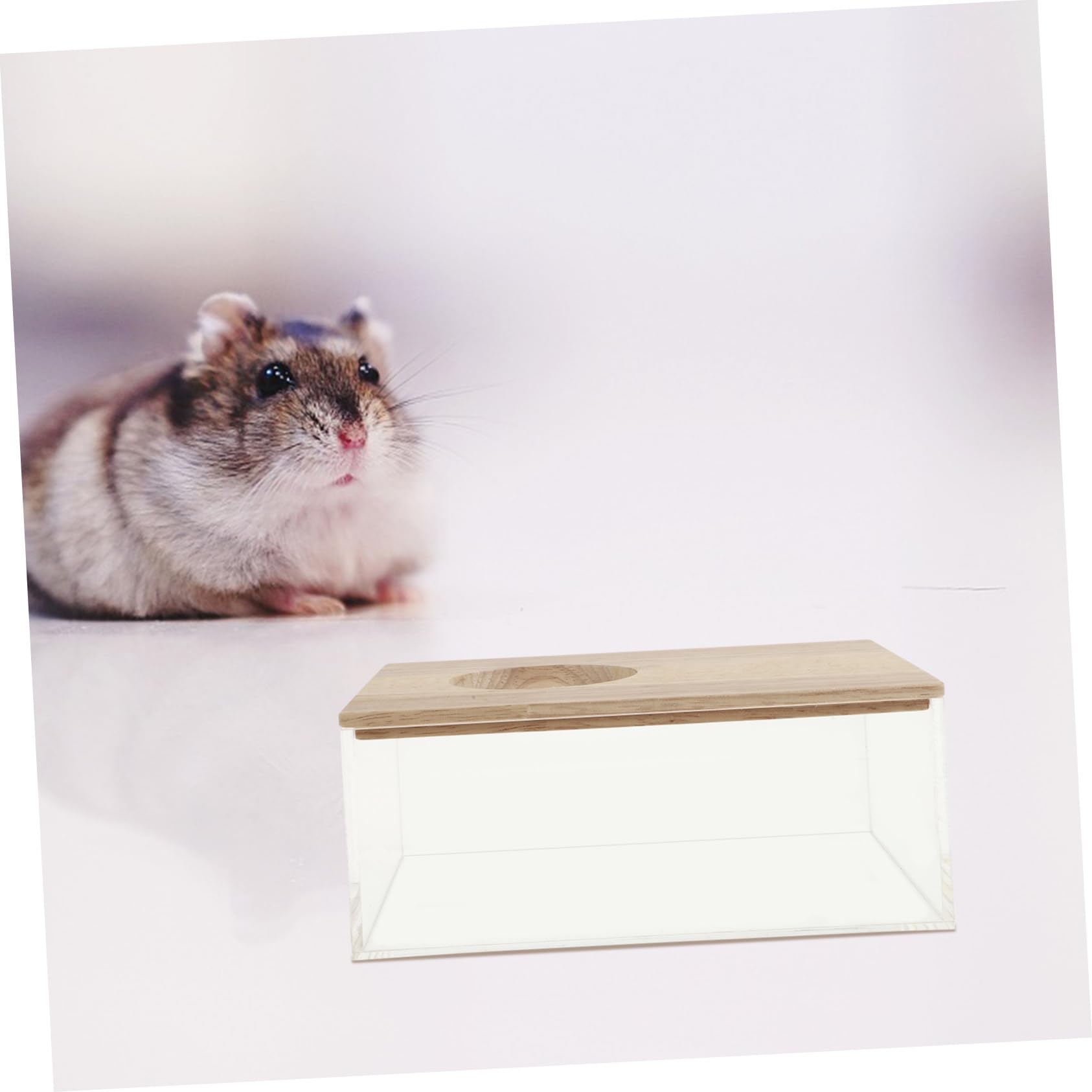 NOLITOY Hamsterbadewanne aus Acryl und Holz Transparente mit Glatter Oberfläche Sicheres Sandbad für Hamster und Meerschweinchen im Heim und Zoofachhandelsbereich