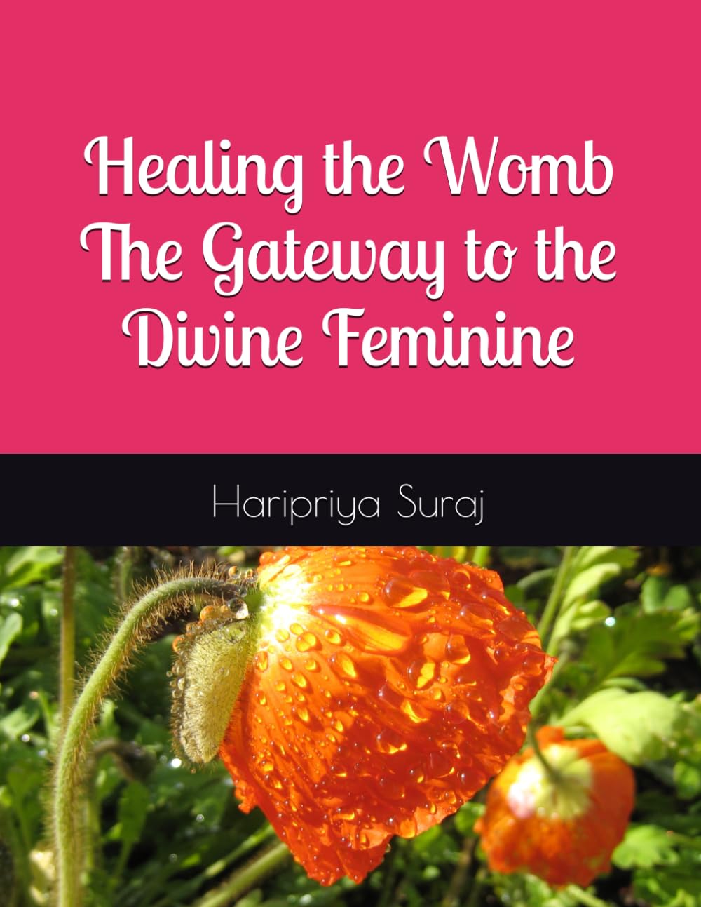 Healing the Womb : The Gateway to the Divine Feminine