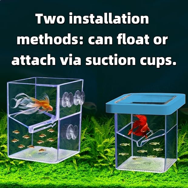 Floating Fish Tank Breeder Box - Transparent Thickened Aquarium Isolation Box for Fish Breeding Easy to Install and Space-Saving (Blue) - Image 4