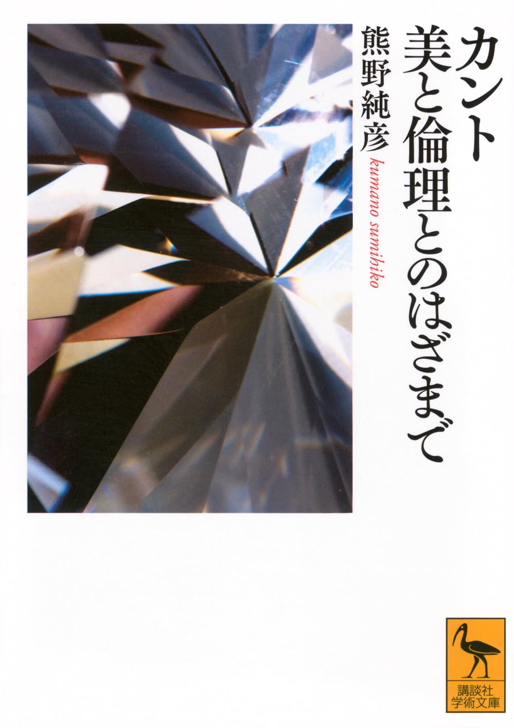 カント 美と倫理とのはざまで (講談社学術文庫 2901) | 熊野 純彦 |本