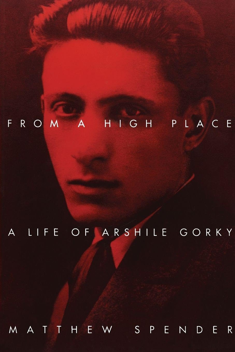 From a High Place: A Life of Arshile Gorky