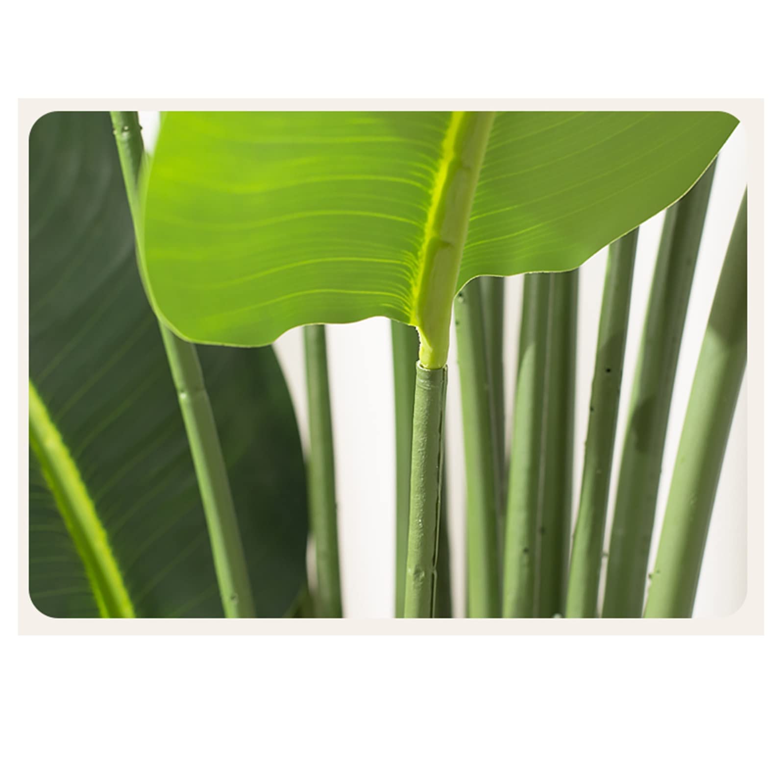 Artificielle Bonsaï Plantes vertes simulées Décorations florales simulées haut de gamme et luxueuses Plantes en pot d'intérieur Grandes fausses plantes bioniques Arbres de salon Plante Artificielles (