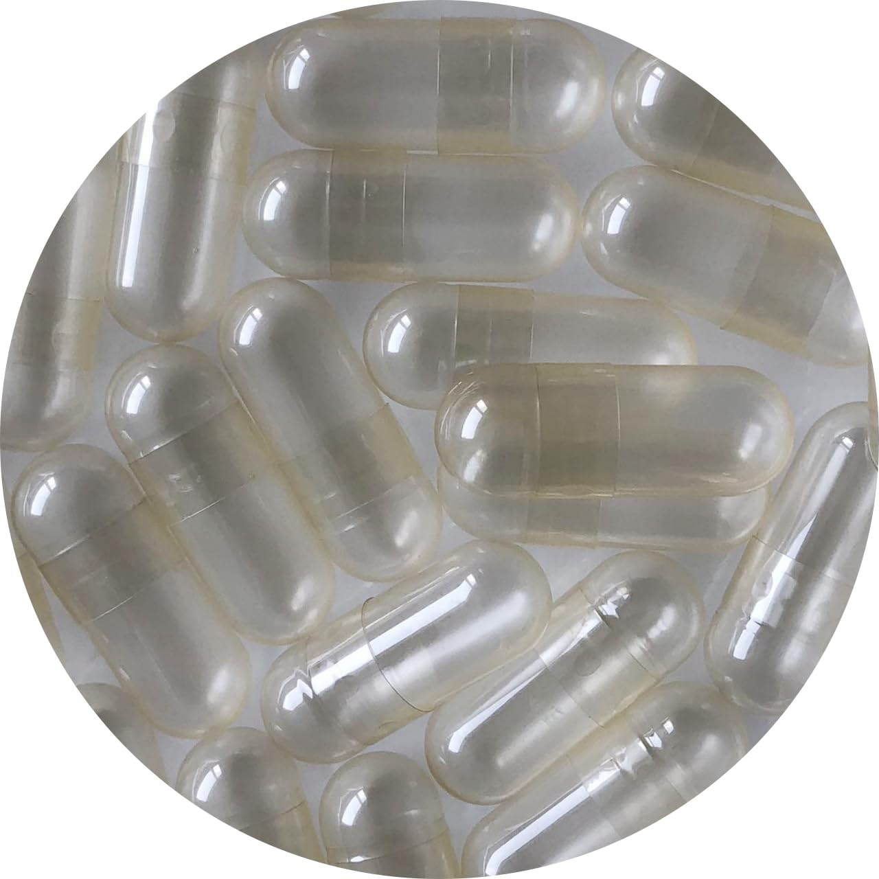 Size 10 Clear Gelatine Veterinary Capsules - Empty Capsules for Large Animals | Ideal for Vet Use, Supplements, DIY Projects, & Filming Special Visual Effects (10)