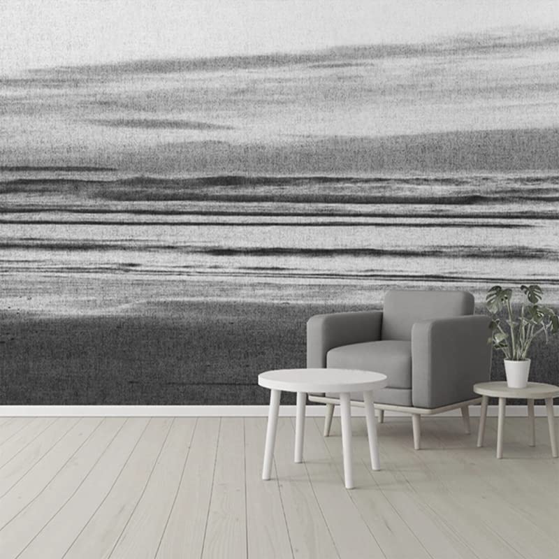 Papier Peint Intissé Noir Blanc Lignes Mural 3D Salon Chambre 250x175