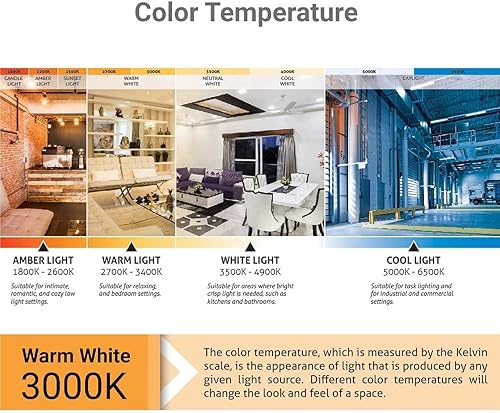Miniatura 6 de Sunlite 40531 FML2765K2PK Lámpara fluorescente compacta enchufable de cuatro tubos, FML 4 pines, 27 vatios, 1500 lúmenes, luz diurna 6500K, base de