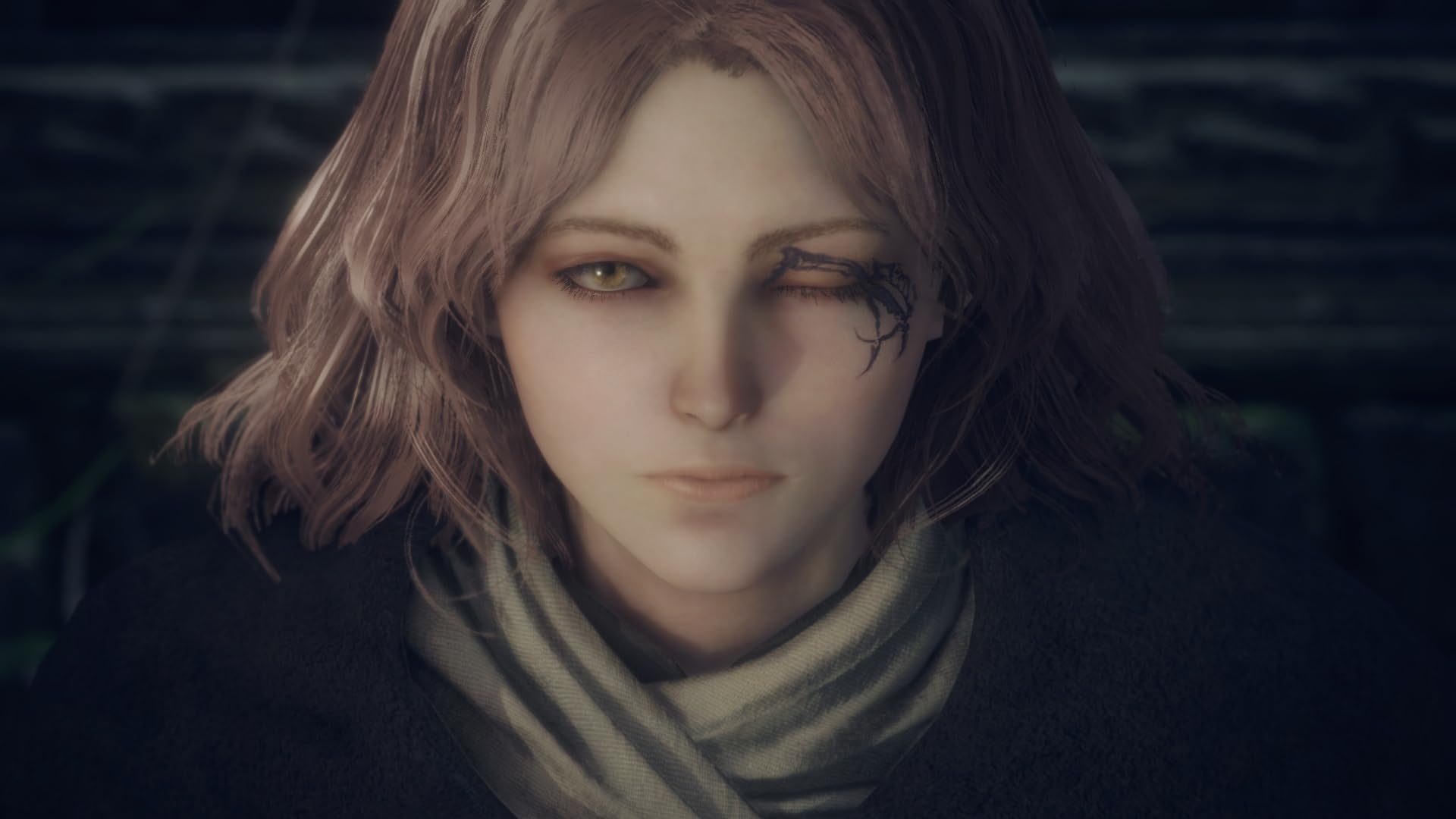ELDEN RING TARNISHED EDITION NSW2