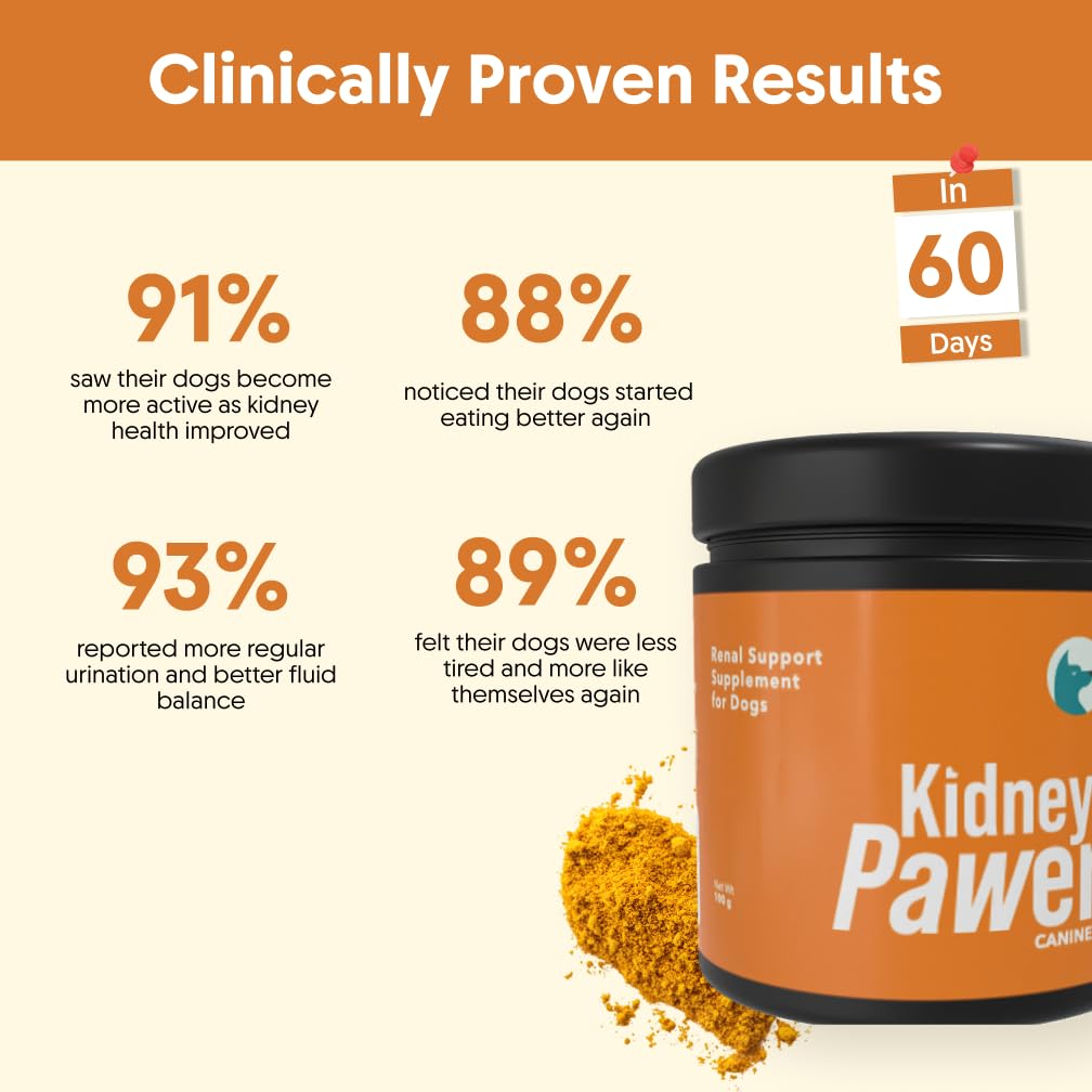 KidneyPawer™ Dog Kidney Support Supplement | Advanced Renal & Urinary Health Formula with Probiotics & Antioxidants | Kidney Function & Overall Wellness | Powder for Dogs | 100g — Amazon image 2