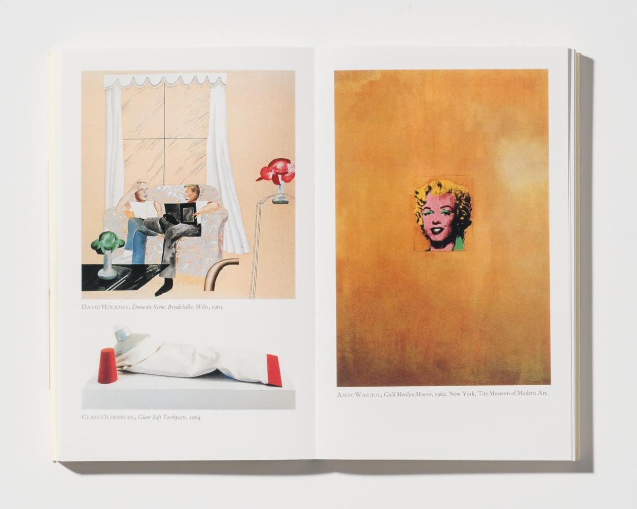Capire l’arte contemporanea. Manuale illustrato sull’arte dal dopoguerra a oggi. Guida per studenti e appassionati. Ediz. a colori