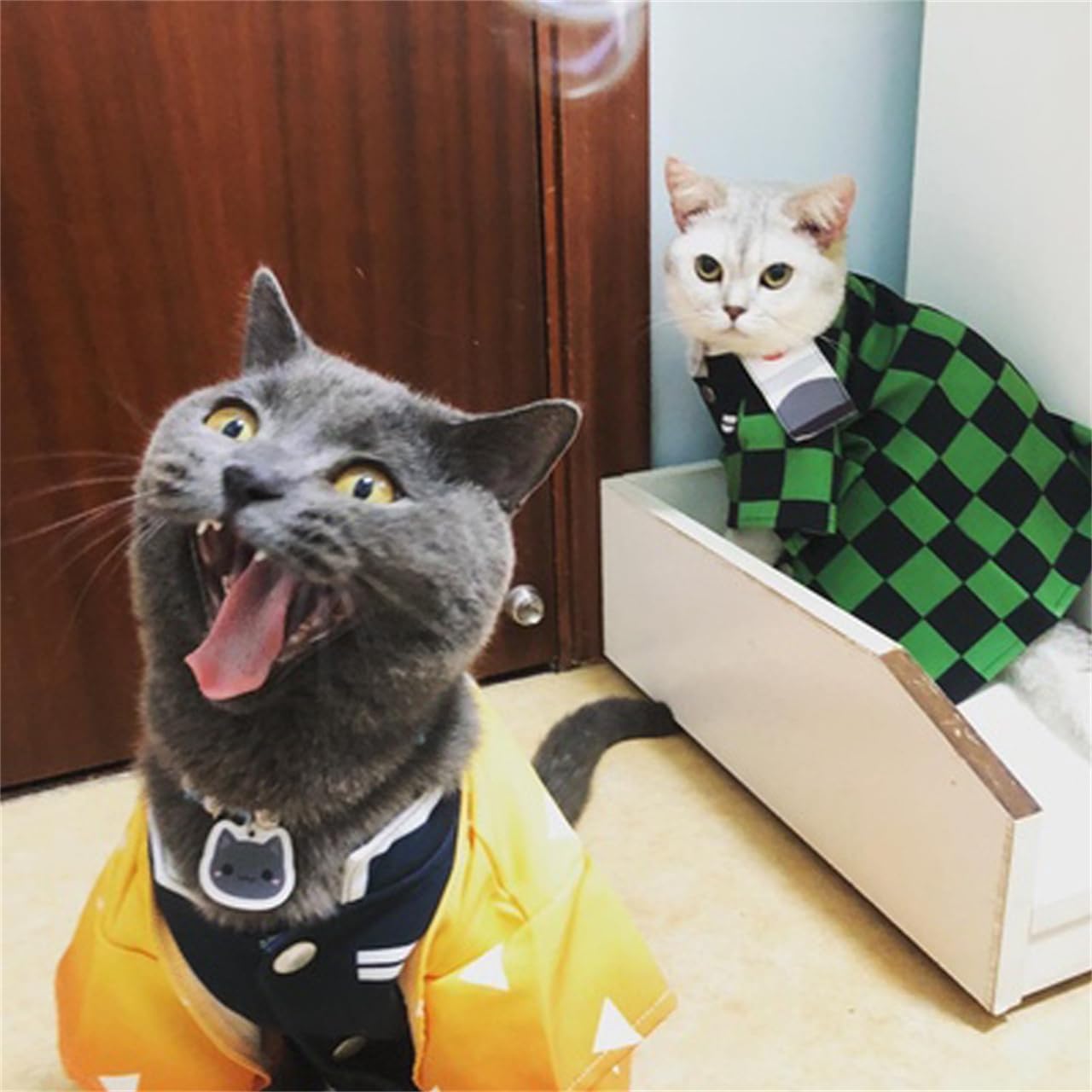 Amazon.co.jp: 鬼滅の刃 ペット服 犬服 猫服 胡蝶 しのぶ コスプレ