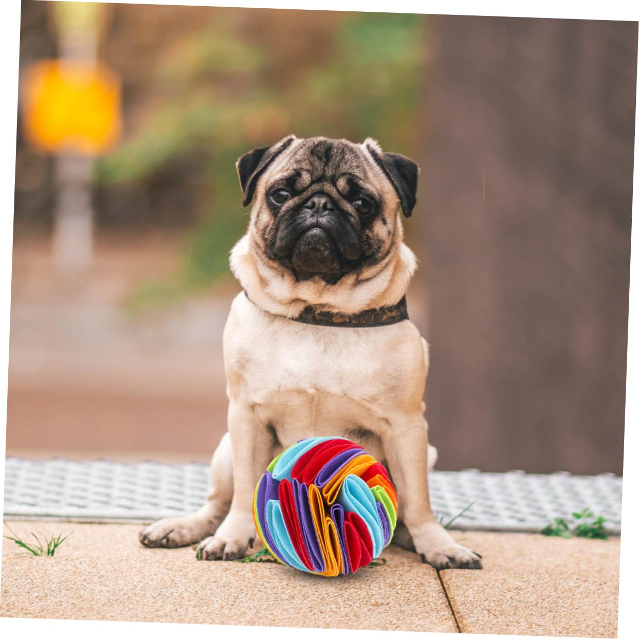 Sosoport 3pièces Jouet à Renifler pour Chien Jouet Interactif pour Animaux pour Chiot Distributeur De Nourriture pour Ennui Et Apprentissage