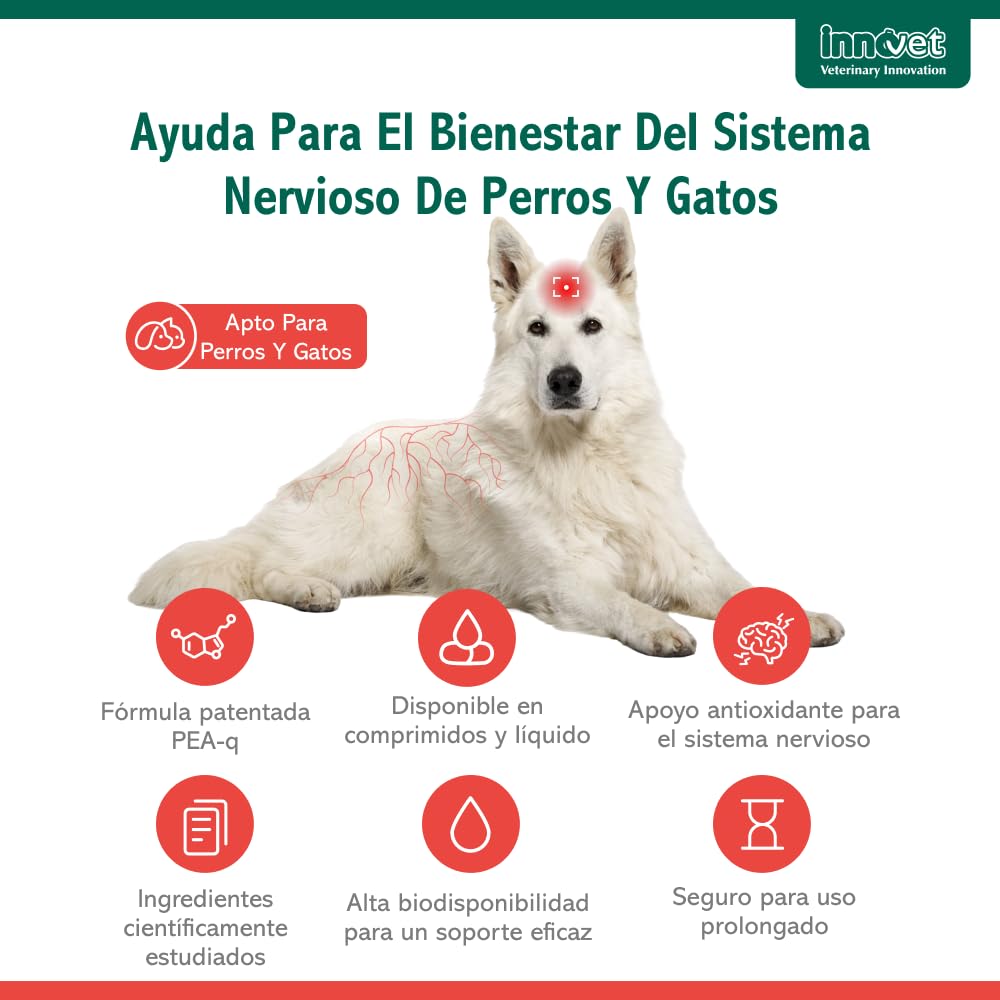 Innovet Alevica Suplemento para el Sistema Nervioso para Perros y Gatos 20 Comprimidos Masticables – con PEA-q y Quercetina – Apoya el Equilibrio Neurológico