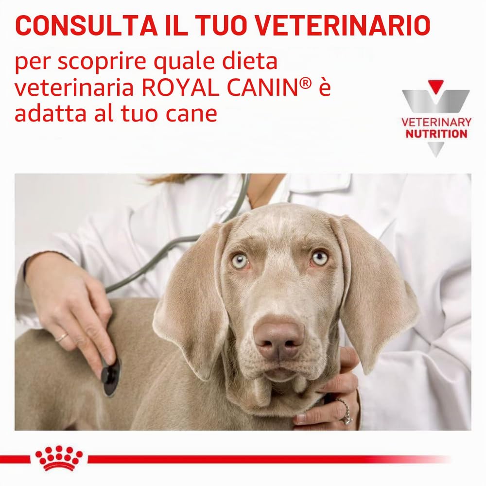 Royal Canin Veterinary Gastrointestinal Low Fat Mousse | 12 x 420 g | Mangime dietetico completo per cani adulti | Per il supporto digestivo e l'obesità.