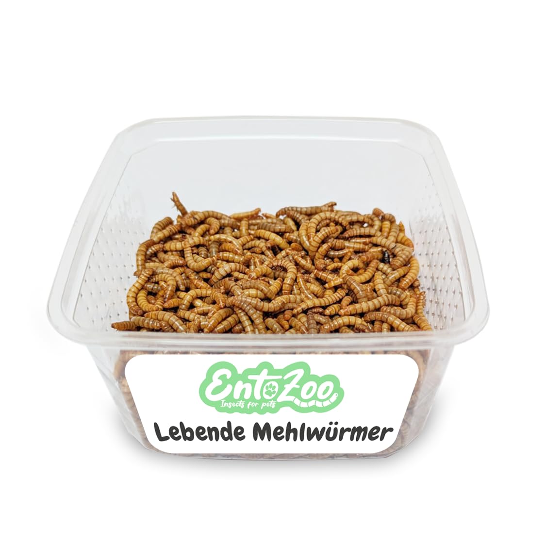 Lebende Mehlwürmer - Futtertier für Reptilien, Vögel, Fische & Nagetiere - einzeln entnehmbar, frisch, proteinreich, artgerechte Tierernährung, leicht zu füttern, 5 Kg