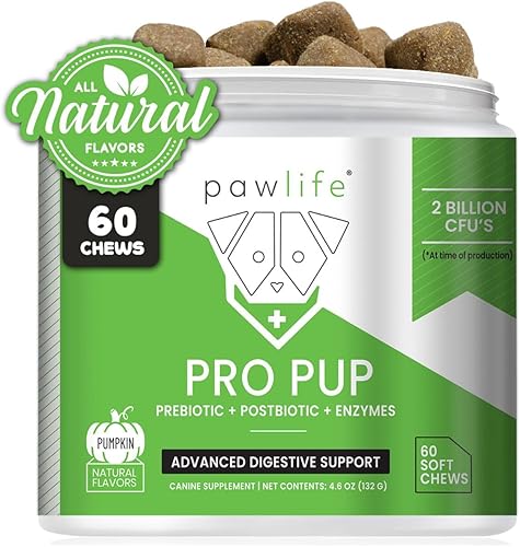 Masticables probióticos para perros  Probióticos para perros Pro Pup, probióticos para perros formulados por veterinarios y enzimas digestivas,