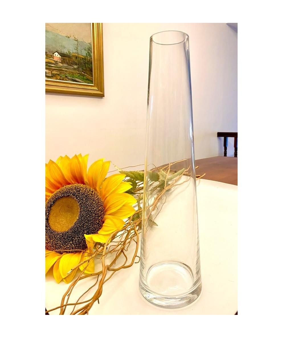 SPHINX Decorative Glass Vase for Flowers Plants Home Decor Office Living Room Table Decorations, Vases for Home Decor, Modern Glass Vase, Gift - (Clear, Height Approx. 9 Inches)