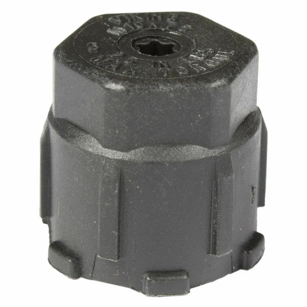 Amazon.com: Motorcraft - Cap (P) (YF37239) : Automotive