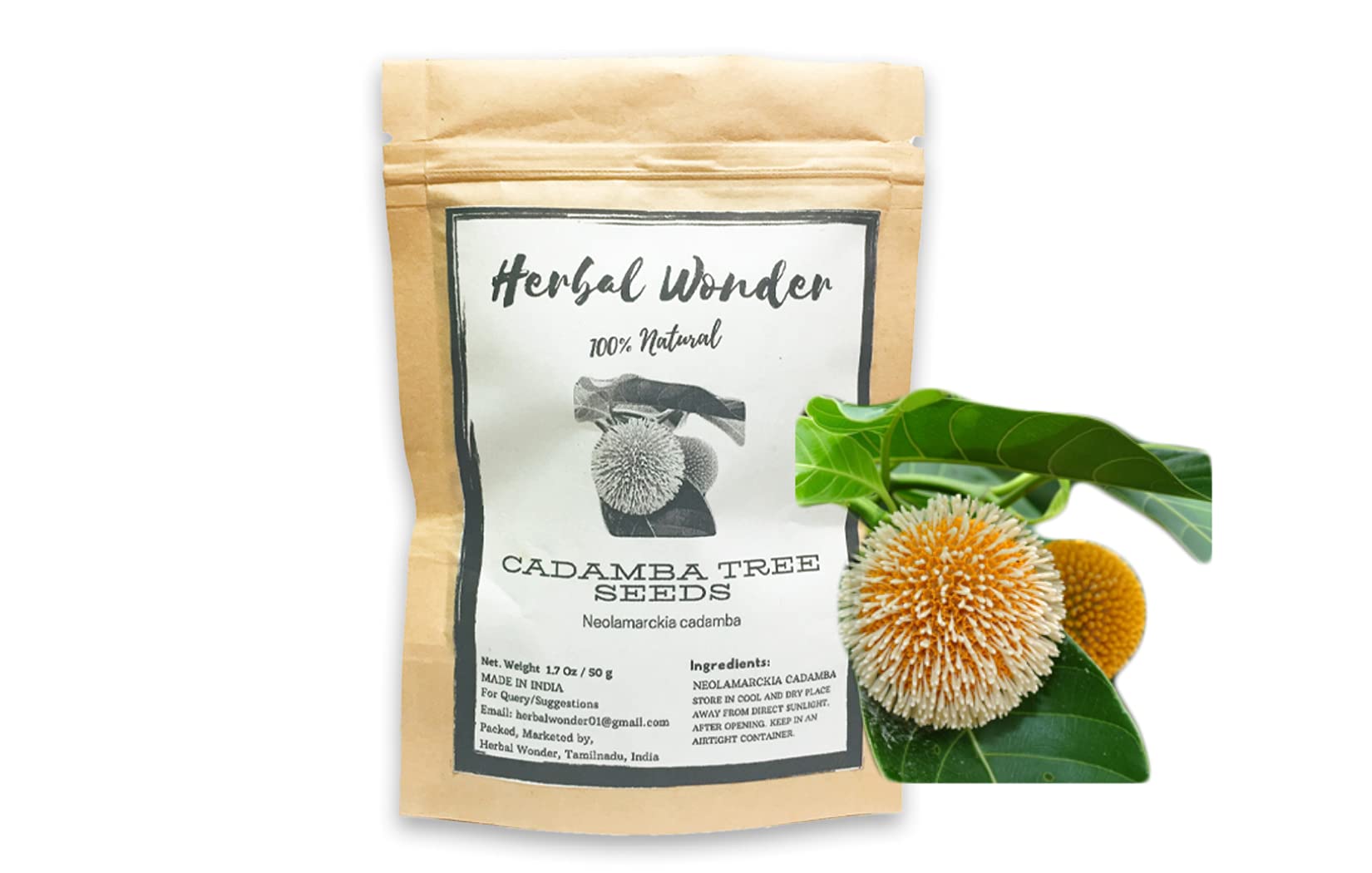 Herbal Wonder Indian Cadamba Tree Seeds for Growing Cadamba Tree Sapling, Neolamarckiacadamba tree seeds Pack of (100g (Approx~ 20000+ Seeds)) (B09F6S1DDP) Amazon Price History, Amazon Price Tracker