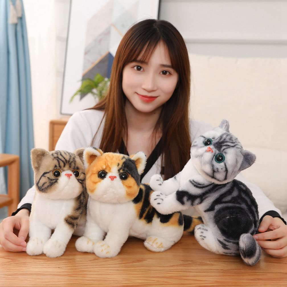 Amazon.co.jp: 抱き枕 猫 エキゾチックショートヘア リアル 生々しい