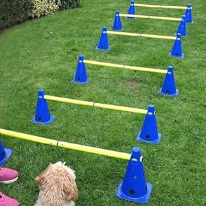 LionSports Steckhürden-Set 2024 Agility-Ausrüstung