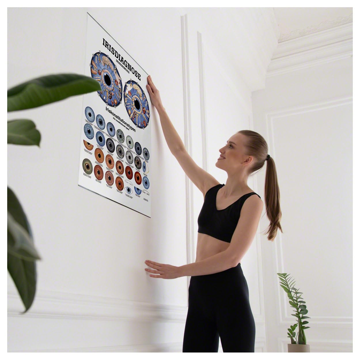Irisdiagnose Poster Anatomie 70x50 cm medizinische Lehrmittel