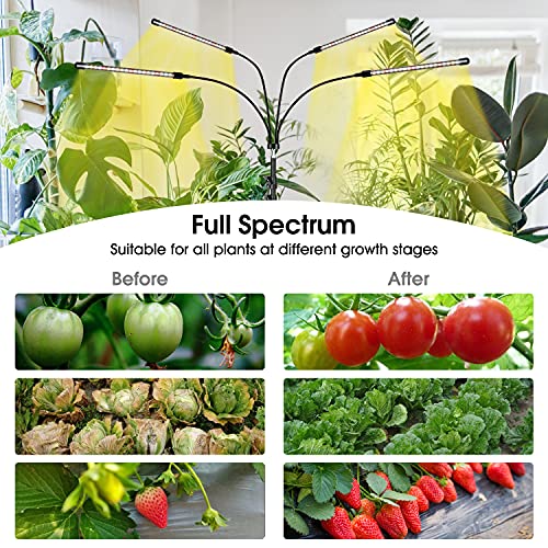 Sowinski Grow Lights For Indoor Plants With Timer, 4 Head 80 Led Grow Lights With Stand, Plant Light For Indoor Plants Full Spectrum, Adjustable Gooseneck With Remote Control Plant Light #TOP5