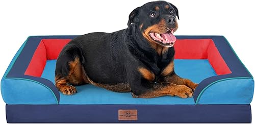 Miniatura 20 de Comfort Expression - Cama ortopédica perros pequeños, 20 x 14 pulgadas, impermeable, espuma soporte cartón de huevo, cojines extraíbles, sofá con