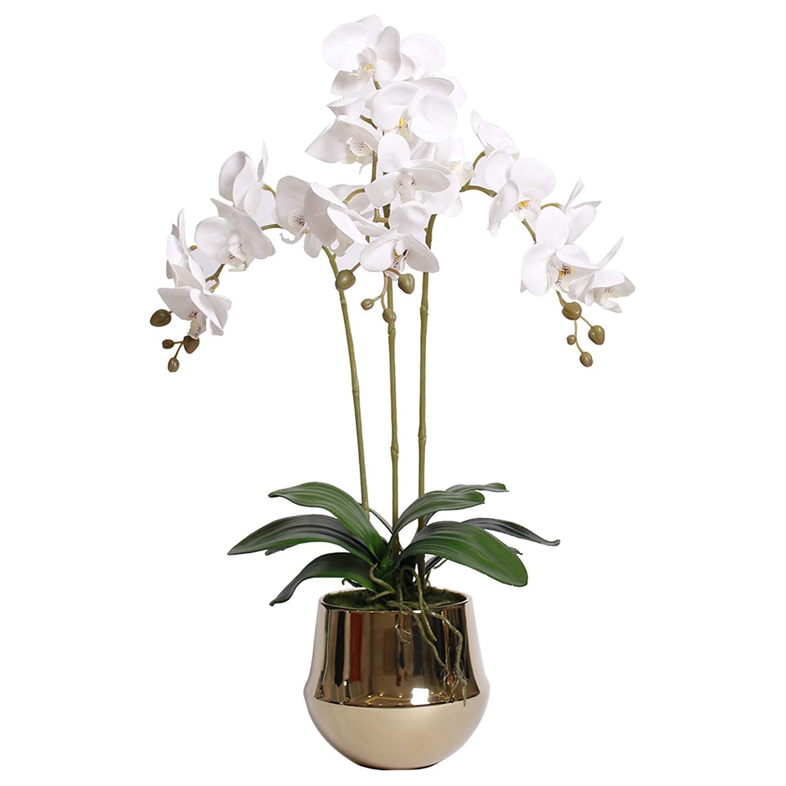 DFGHNBVC Artificial Orchid Phalaenopsis Flowers With Golden Vase, Faux Silk Phalaenopsis Flower Arrangement