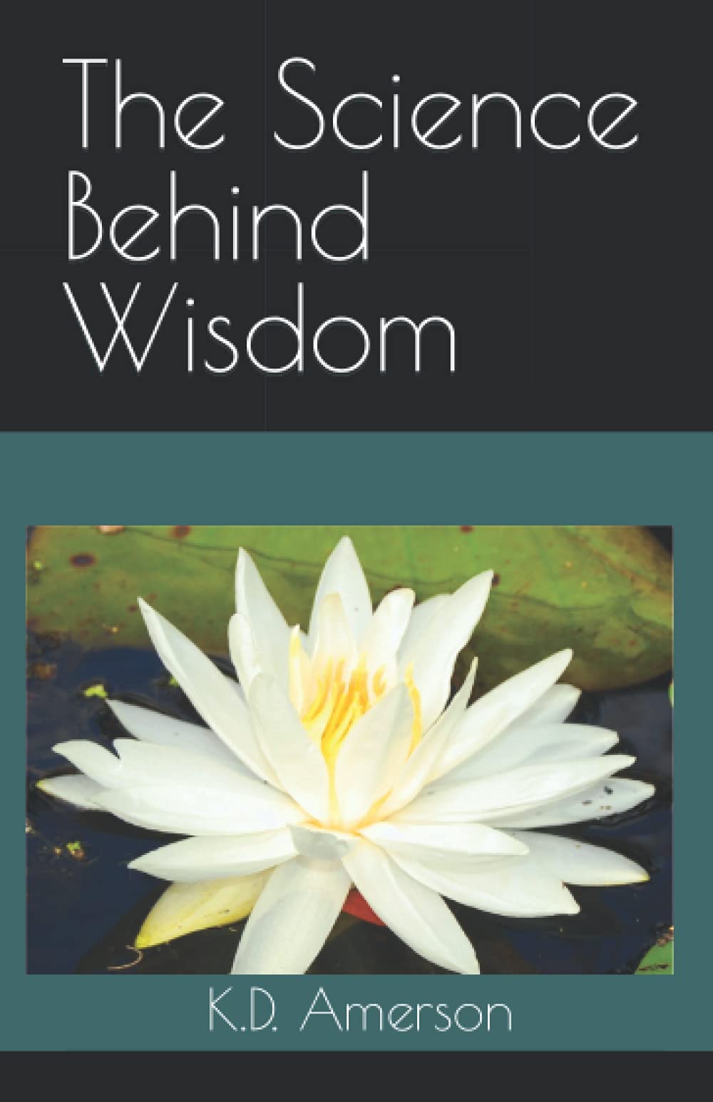 The Science Behind Wisdom